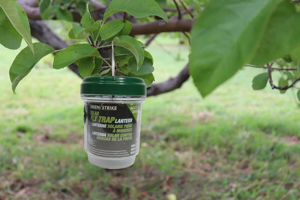 GREENSTRIKE® Solar Fly Trap Lantern