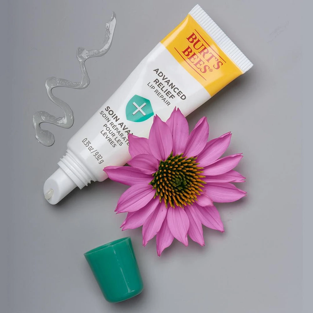 Burt’s Bees® Advanced Lip Relief with Shea Butter and Echinacea, 100% Natural Origin -, 1 Tube