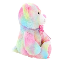 Way to Celebrate Valentine’s Day Soft Expression Plush Teddy Bear, Pastel With Rainbow