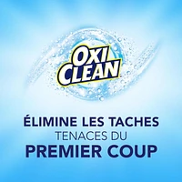 OxiClean Versatile Stain Remover Powder