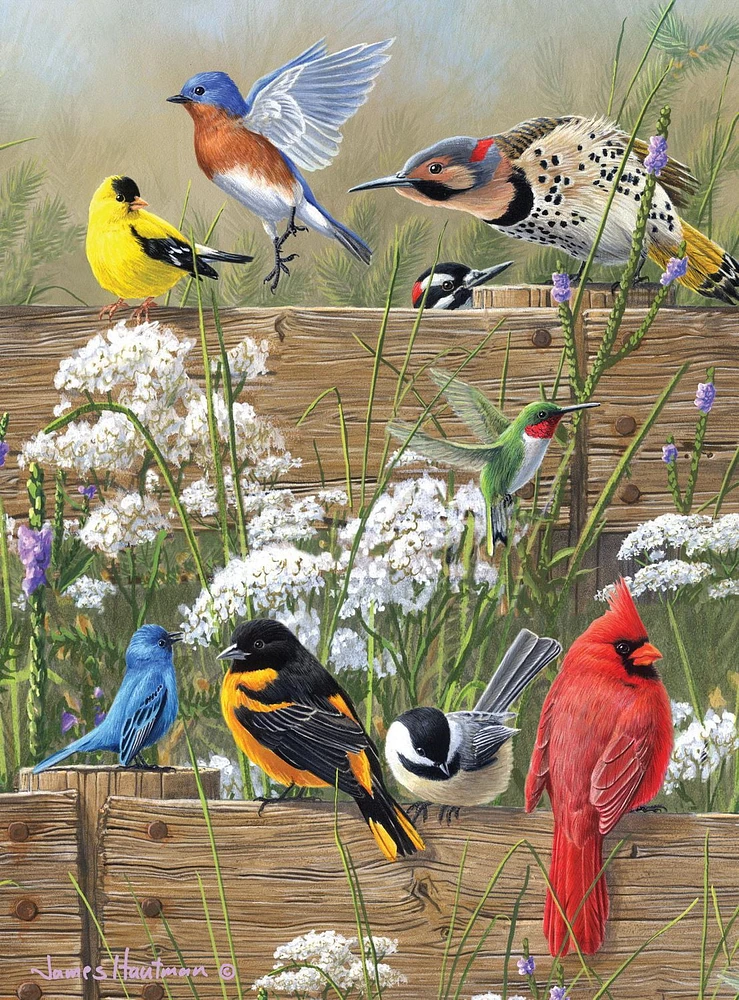 Buffalo Games Hautman Brothers Collection Songbird Menagerie 1000 Piece Jigsaw Puzzle