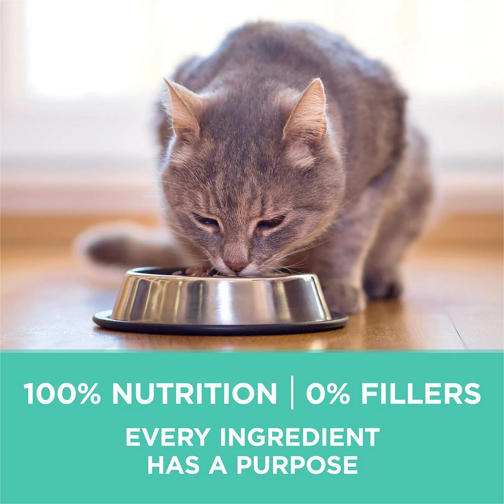 Purina ONE +Plus Sensitive Systems Turkey, Dry Cat Food, 1.8-3 kg