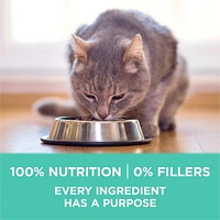 Purina ONE +Plus Sensitive Systems Turkey, Dry Cat Food, 1.8-3 kg