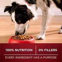 Purina ONE Véritable Instinct Boeuf et Bison, Nourriture Sèche pour Chiens 6,8-12,4 kg