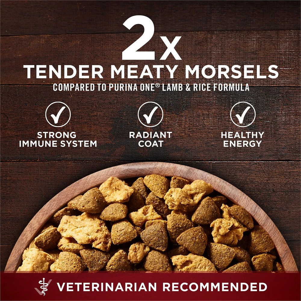 Purina ONE Véritable Instinct Boeuf et Bison, Nourriture Sèche pour Chiens 6,8-12,4 kg