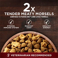 Purina ONE Véritable Instinct Boeuf et Bison, Nourriture Sèche pour Chiens 6,8-12,4 kg