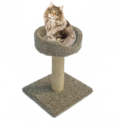 Sisal Scratch Post with Basket