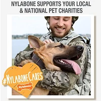 Nylabone Puppy Starter Pack Chicken & Bacon Flavor Small - Up to 25 lbs.