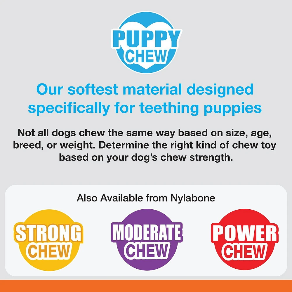 Nylabone Puppy Starter Pack Chicken & Bacon Flavor Small - Up to 25 lbs.