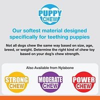 Nylabone Puppy Starter Pack Chicken & Bacon Flavor Small - Up to 25 lbs.
