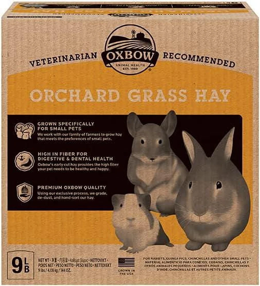 Nourriture pour petits animaux OxBow Herbe du verger