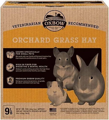 Nourriture pour petits animaux OxBow Herbe du verger