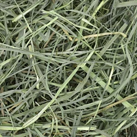 Nourriture pour petits animaux OxBow Herbe du verger
