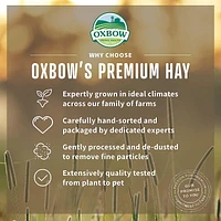 Nourriture pour petits animaux OxBow Herbe du verger