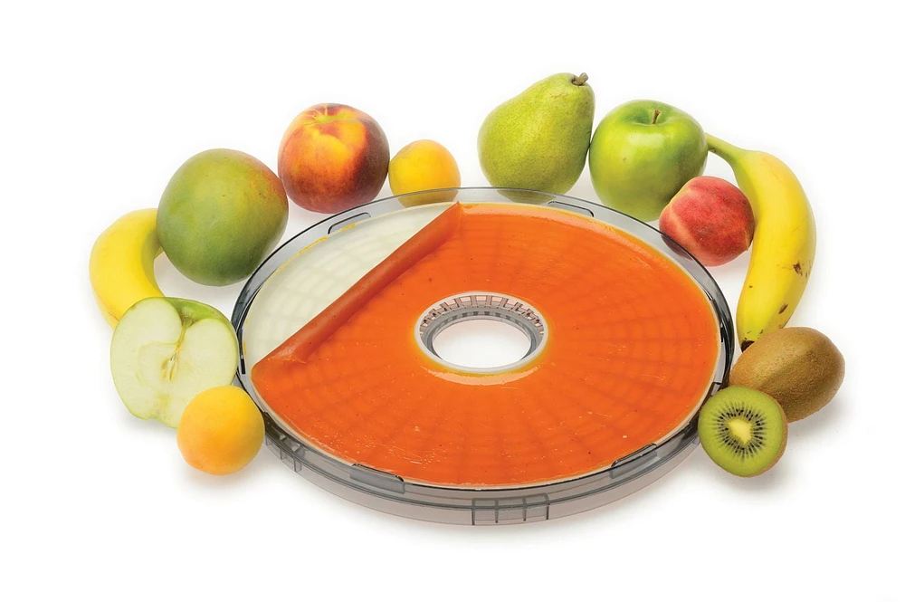 Salton Food Dehydrator DH1454, 5 Trays, 1 Herb & 1 Fruit Tray