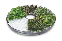 Salton Food Dehydrator DH1454, 5 Trays, 1 Herb & 1 Fruit Tray