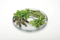 Salton Food Dehydrator DH1454, 5 Trays, 1 Herb & 1 Fruit Tray