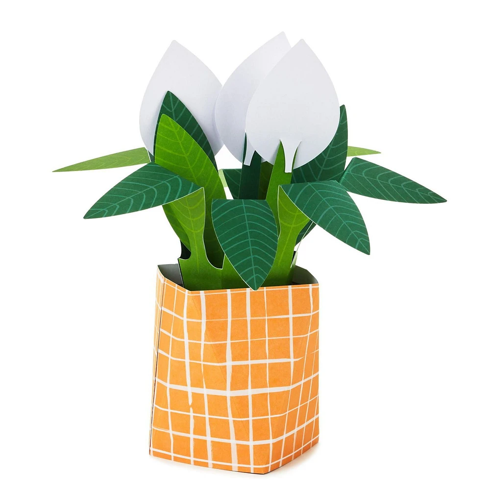 Hallmark Paper Wonder Pop Up Card (Potted Peace Lily)