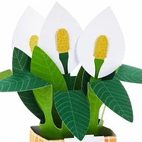 Hallmark Paper Wonder Pop Up Card (Potted Peace Lily)