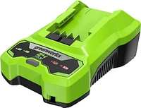 Greenworks 24V 4A Dual Port Charger, CAG817