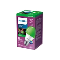 PHILIPS 8W (60W) A19 Medium Base Non-Dimmable Green LED Light Bulb, LED  60W A19 Green