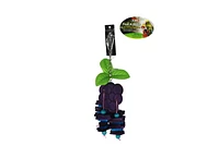 Penn-Plax Brochette De Fruits