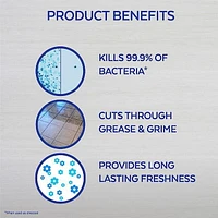 LYSOL® MULTI SURFACE CLEANER POURABLE - Power & Fresh™ Lavender 4.26 L, 4.26L