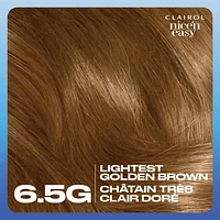 Clairol Nice'n Easy Permanent Hair Dye