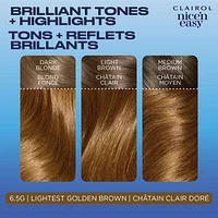 Clairol Nice'n Easy Permanent Hair Dye