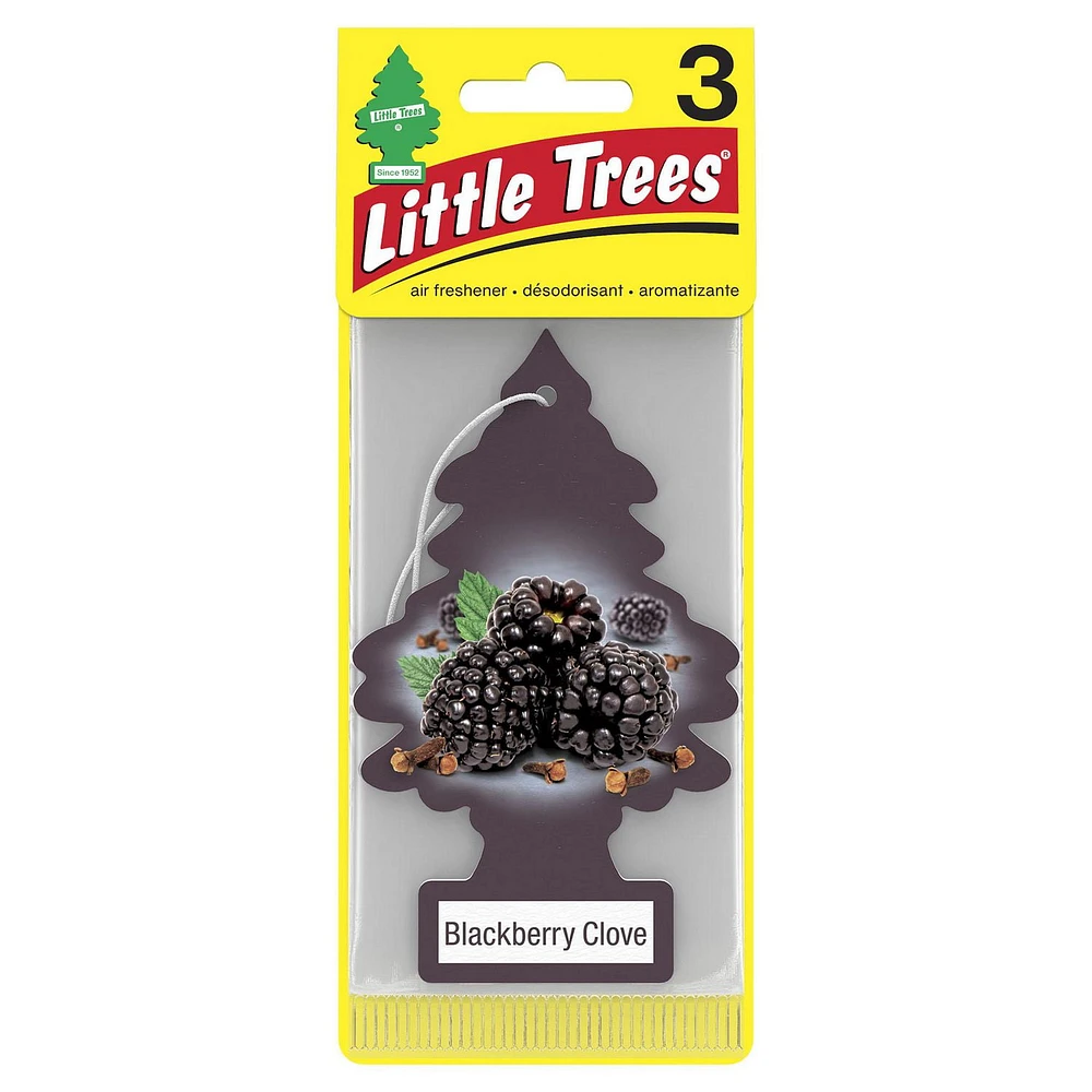 LITTLE TREES air freshener Blackberry Clove 3-Pack, LT AF Blackberry Clove 3-Pack