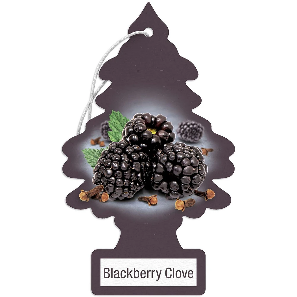 LITTLE TREES air freshener Blackberry Clove 3-Pack, LT AF Blackberry Clove 3-Pack