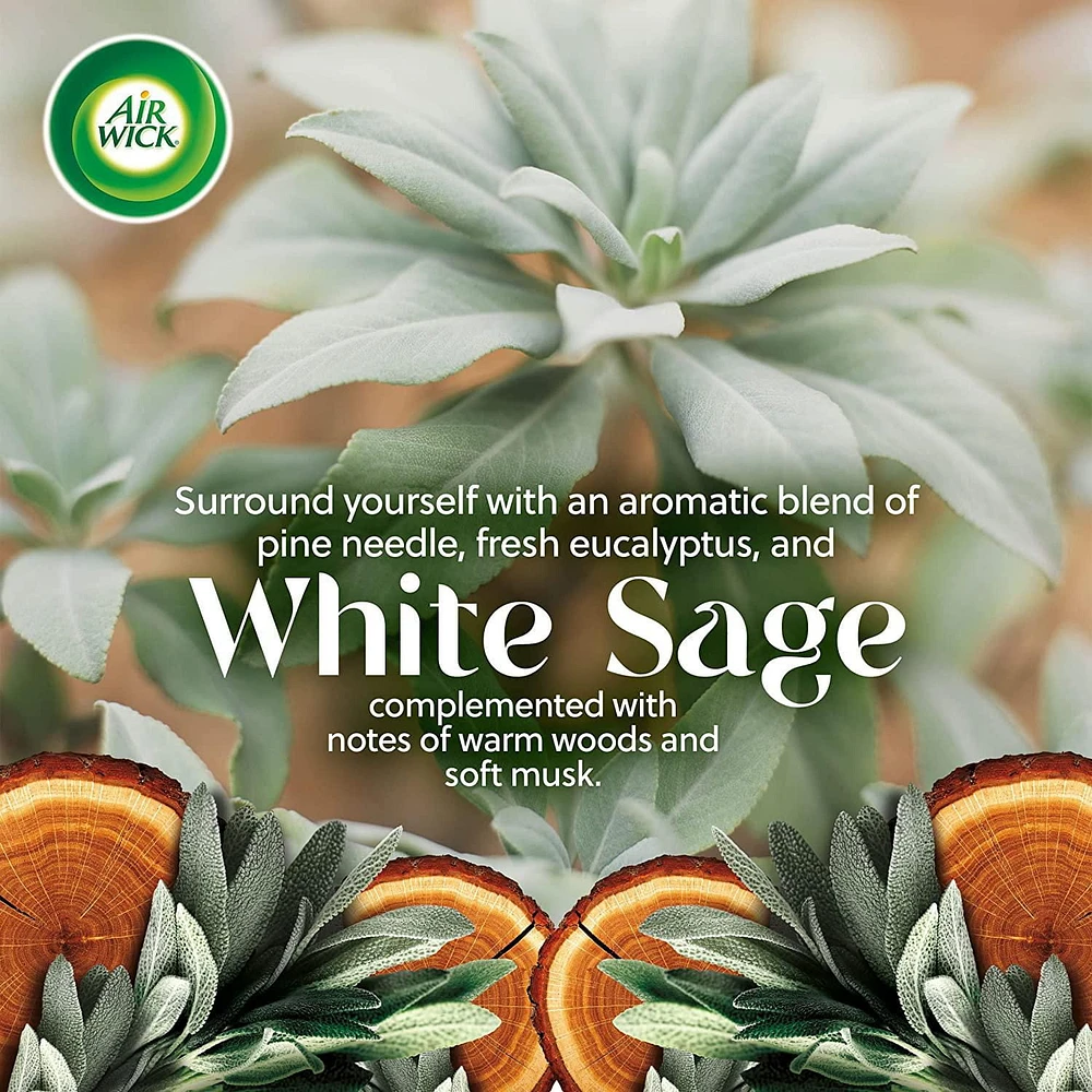 AIR WICK® SCENTED OIL - Kit - 1+1 Vibrant™ White Sage and Mahogany 4/20 mL