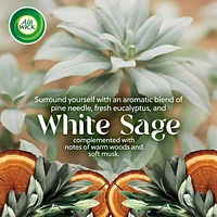 AIR WICK® SCENTED OIL - Kit - 1+1 Vibrant™ White Sage and Mahogany 4/20 mL