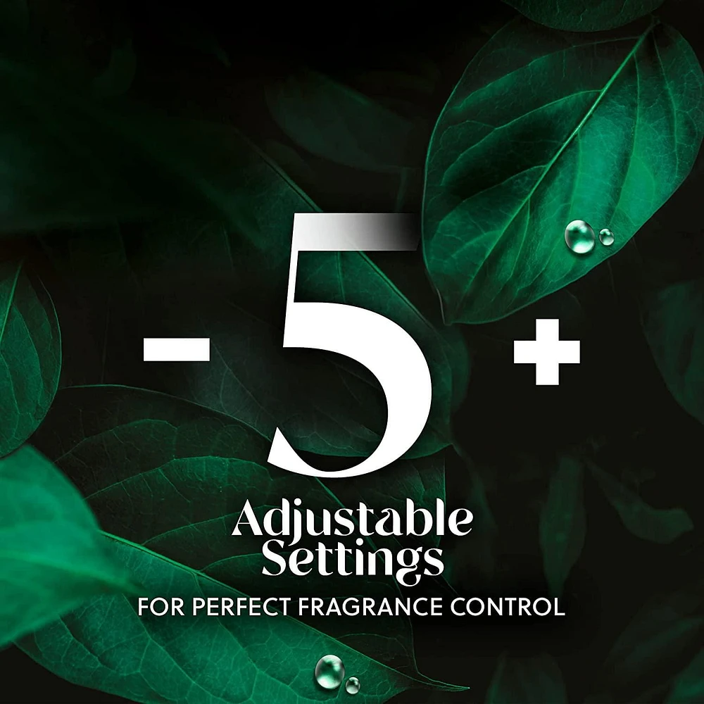 AIR WICK® SCENTED OIL - Kit - 1+1 Vibrant™ White Sage and Mahogany 4/20 mL