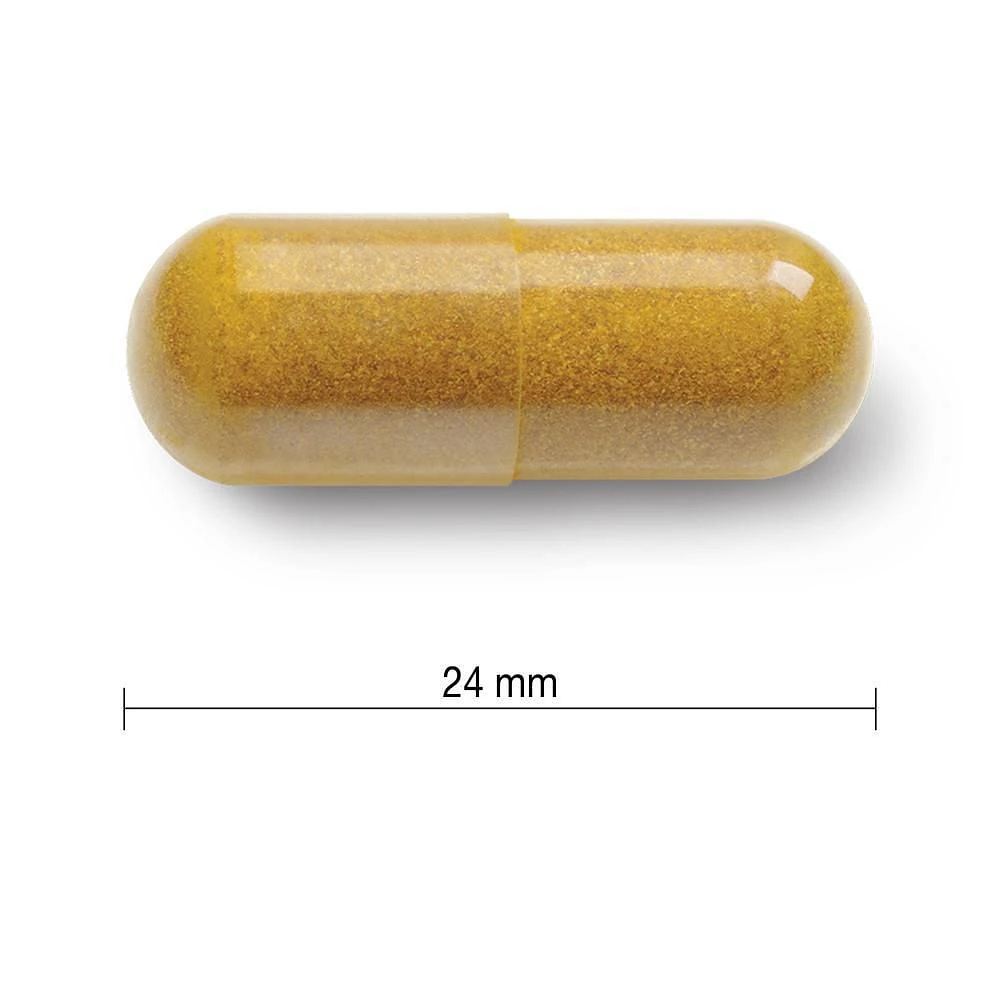 Jamieson Curcumine Curcuma 550 mg Format Économique 90 Capsules Végétales