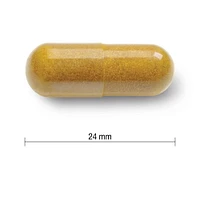 Jamieson Curcumine Curcuma 550 mg Format Économique 90 Capsules Végétales