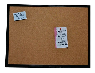 Jelinek Cork Gym Bulletin Board, 24” x 36” framed