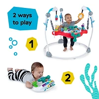 Baby Einstein Ocean Explorers Airplane Adventure 2-in-1 Activity Jumper