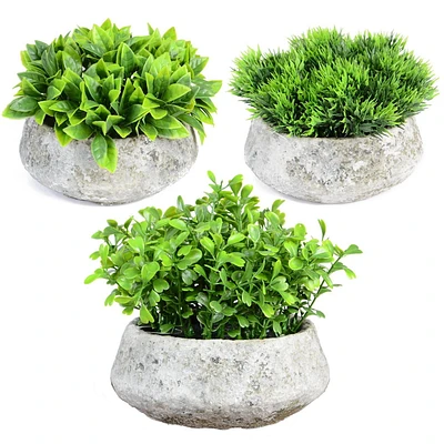 Danson Decor, Artificial Foliage in Cement Pot, Green, 3 Assorted - 4 inches