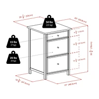 Winsome Delta File Cabinet Walnut Finish - 94321