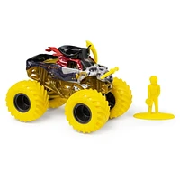 Monster Jam, Official Pirate's Curse Monster Truck, Die-Cast Vehicle, Muddy Mayhem Series, 1:64 Scale