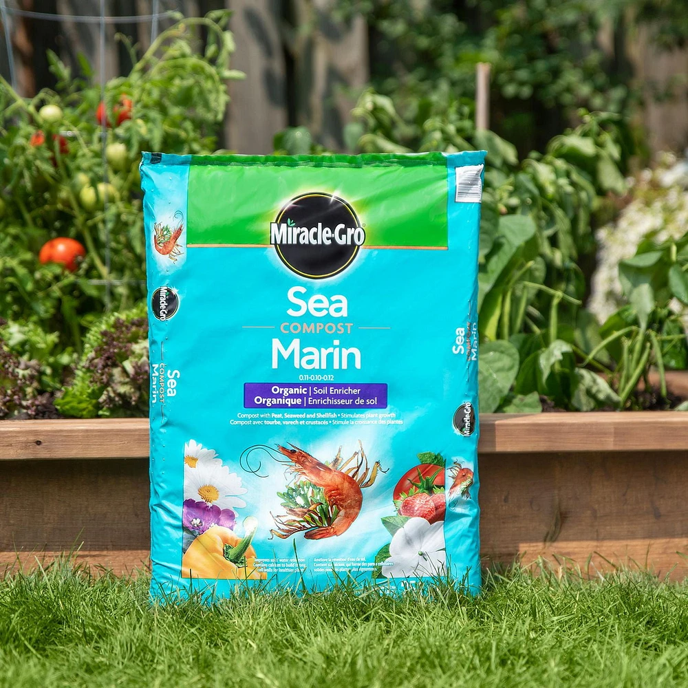 Miracle-Gro Sea Compost  25L