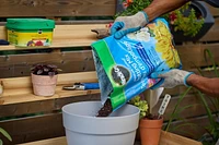 Miracle-Gro Moisture Control Potting Mix 25L