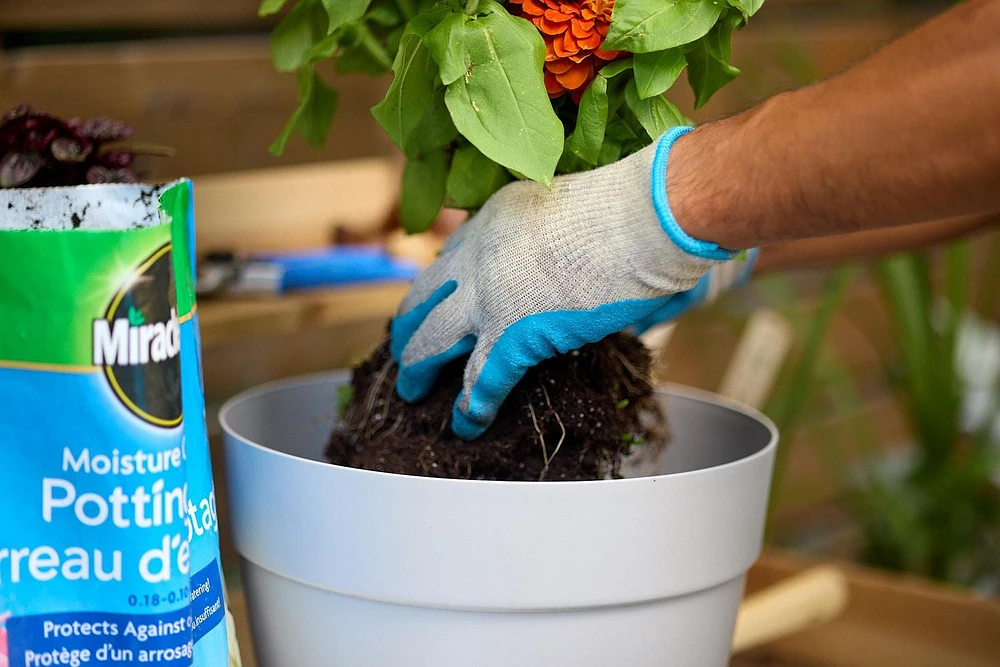 Miracle-Gro Moisture Control Potting Mix 25L