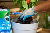 Miracle-Gro Moisture Control Potting Mix 25L