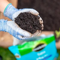 Miracle-Gro Sea Compost  25L