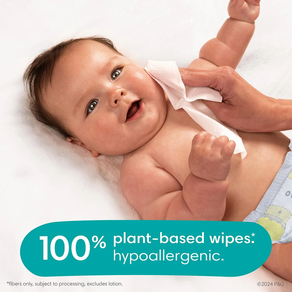 Lingettes pour bébés Pampers Free & Gentle 100% à base de plantes, non parfumées lingettes 156 & 468CT
