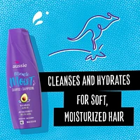 Aussie Miracle Moist with Avocado & Jojoba Oil, Paraben Free Shampoo, 360 mL