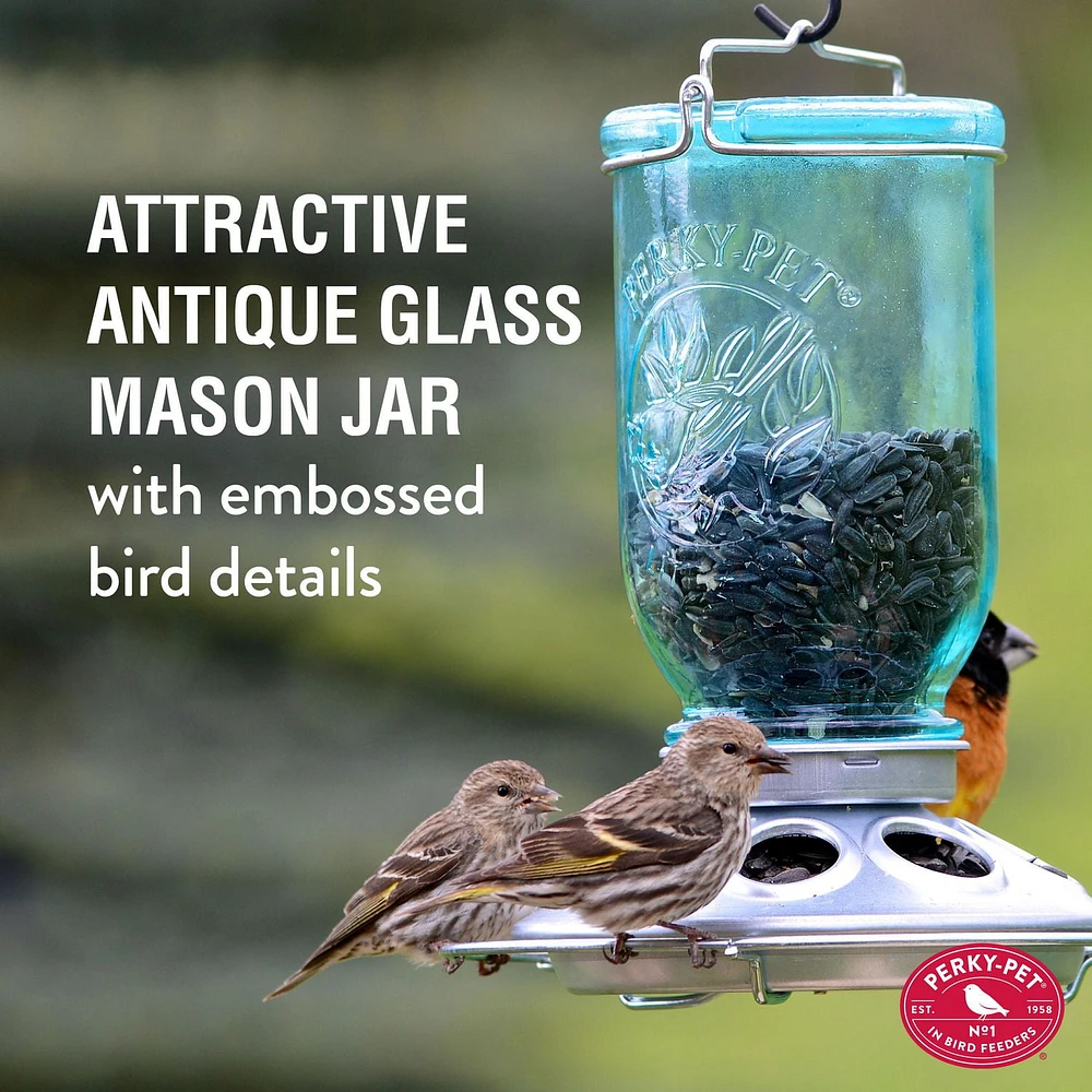 Perky-Pet Mason Jar Wild Bird Feeder – 1 lb Capacity