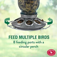 Perky-Pet Mason Jar Wild Bird Feeder – 1 lb Capacity